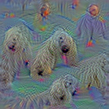n02105412 kelpie